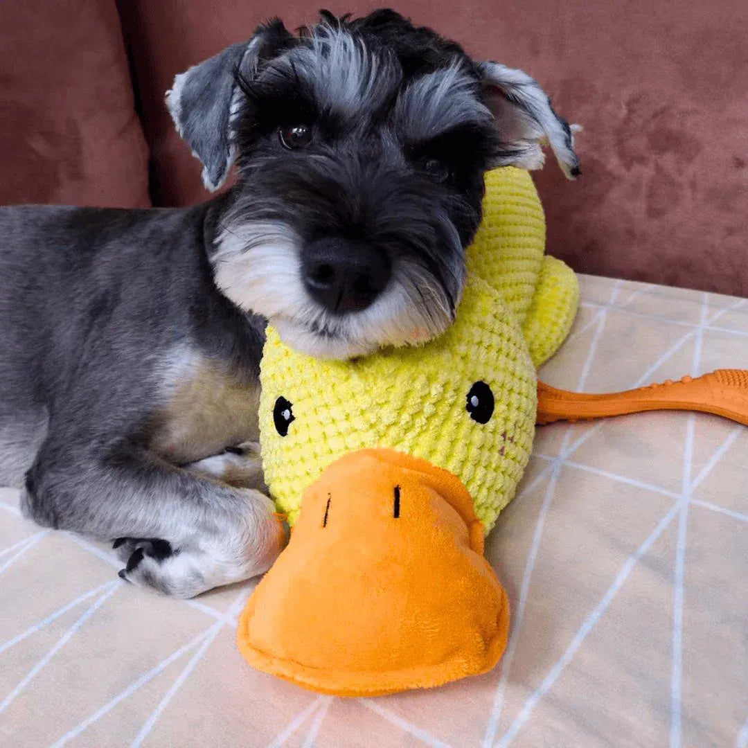 CalmingDuck Juguete de antiestrés de alta resistencia